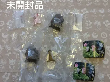 낚시 날씨 4 가챠가챠 우파루파 미어캣 하마