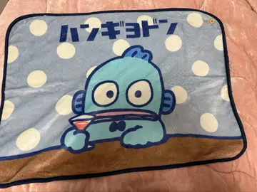 한교동 무릎 담요