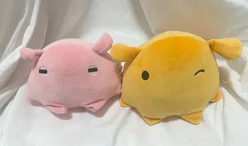 하케이지마 씨 파라다이스 에노스이 멘다코 봉제 인형 복권 2종 세트