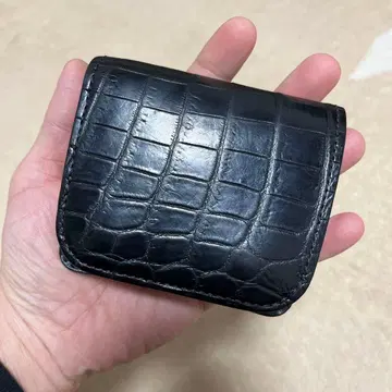 와일드 스완스 카사 블랙