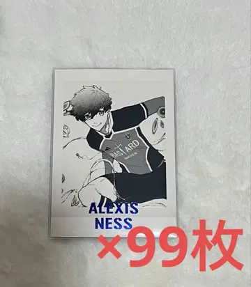 블루 록 블루 록 블루 록 전시회 블루 록 전시회 파샤코레 알렉시스 네스