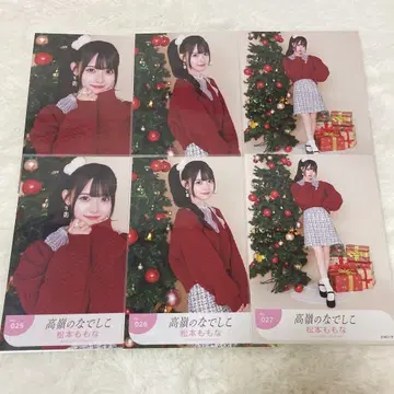 타카네노 나데시코 마츠모토 모모나 윈터