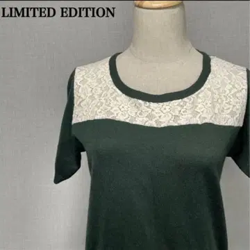 LIMITED EDITION 울 혼방 레이스 니트 M 그린 고급 반팔