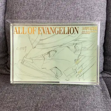 에반게리온 카츠라기 미사토 아크릴 블록 ALL OF EVANGELION