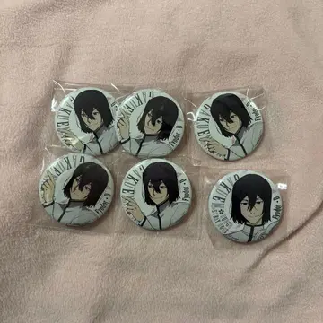 학원 문호 스트레이독스 문스토 4월 바보 효도르 도스토옙스키 캔뱃지