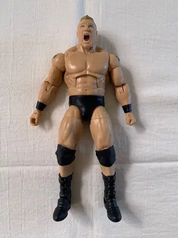 마텔 블록 레스너 WWE 프로레슬링 선수