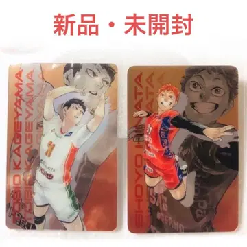 하이큐!! 키라피카드 히나타 카게야마