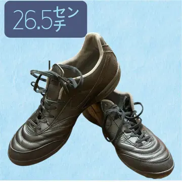 모렐리아 탑 살라