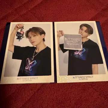 야기 유세이 트레이딩 카드 시크릿