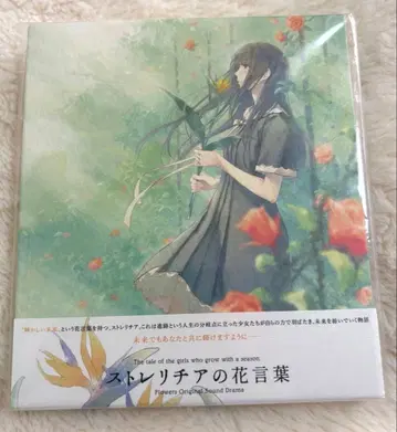 FLOWERS 플라워즈 스트렐리치아의 꽃말