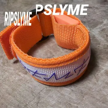 RIP SLYME DFMF2025 블레스 라이트 오렌지