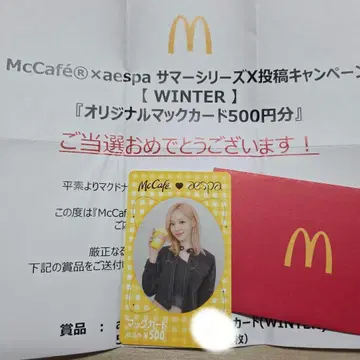 WINTER 윈터 맥카드 기사용 aespa 에스파