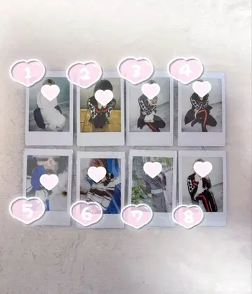 사쿠라 군 폴라로이드 세트