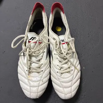 미즈노 프로페셔널 모델 스파이크