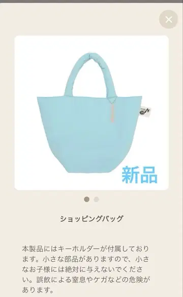 SnowMan DomeTour 2025-2026 ON 쇼핑백