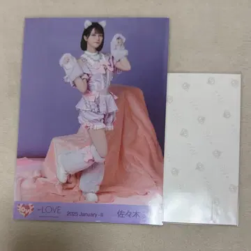 이코러브 사사키 마이카 빅 브로마이드 고양이