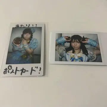 빅 엔젤 나마세 무기 폴라로이드