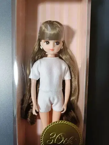 리카짱 캐슬 셀렉션 모델