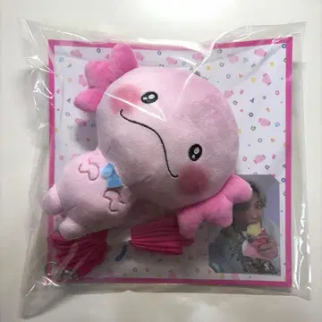 우파고로 패스 케이스