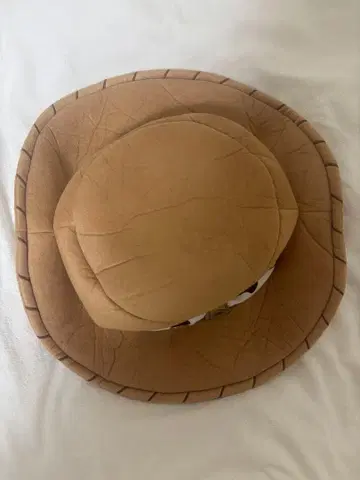 도쿄 디즈니 리조트 캐릭터 모자 우디