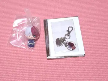 히로아카 원화전 합금 참 뇽키토 토도로키