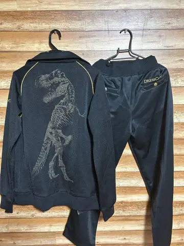 Dresscamp x champion 콜라보 저리 t-rex1