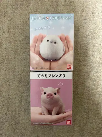 테노리 프렌즈 모후모후 테노리 프렌즈 시마연가 돼지