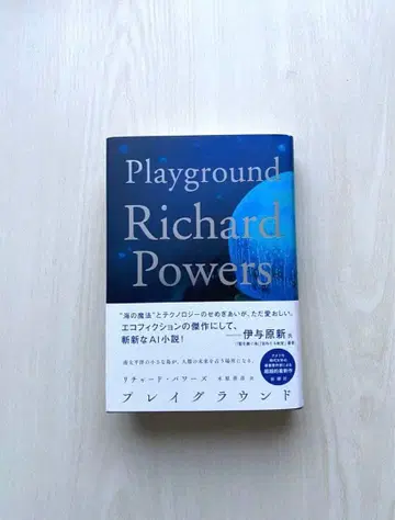 플레이그라운드 리처드 파워스