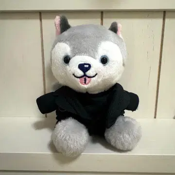 SixTONES 마츠무라 호쿠토 봉제 인형 노키도아 토리이누