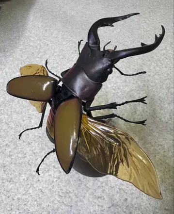 생물대도감 아마미톱사슴벌레였던 것 같습니다. 토카라톱사슴벌레?