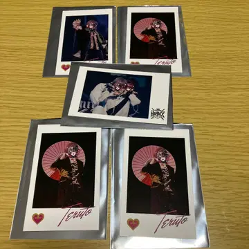 기사X 테루토군 포토 카드 5장 세트