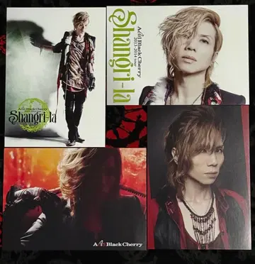 Acid Black Cherry 엽서 4장 세트