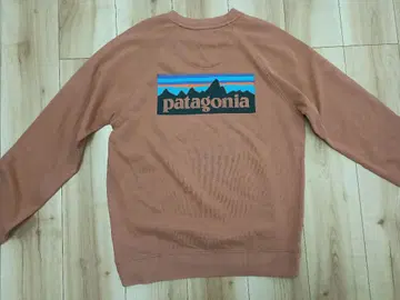 patagonia 크루넥 맨투맨 트레이닝복