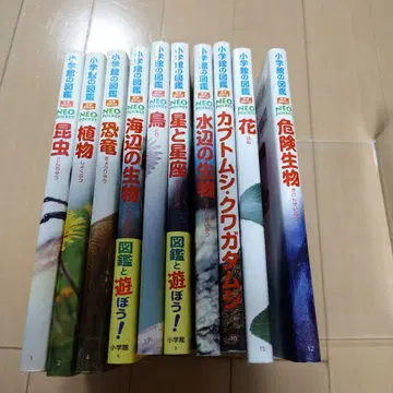 소학관의 도감 네오포켓 NEOPOCKET 10권 세트