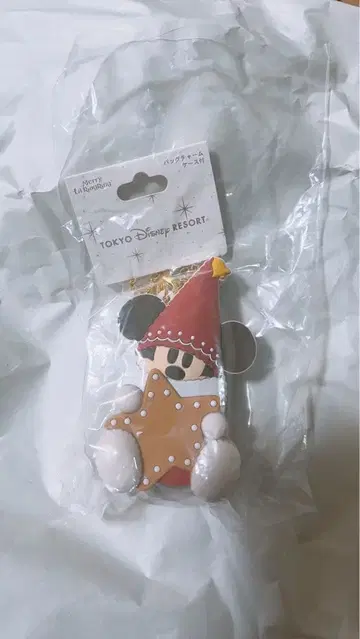 릴린린 백참 케이스 포함 디즈니 2025 백참