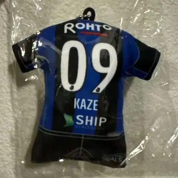 후지이 카제 파나스타 키링