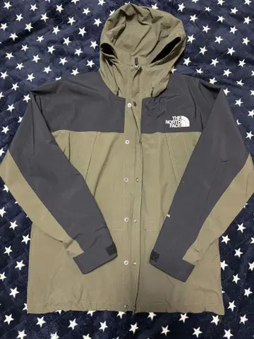 THE NORTH FACE 마운틴 자켓 그린