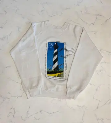 90년대 USA제 프룻 오브 더 룸 맨투맨