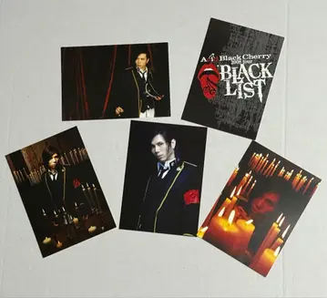 Acid Black Cherry 엽서 5장 세트