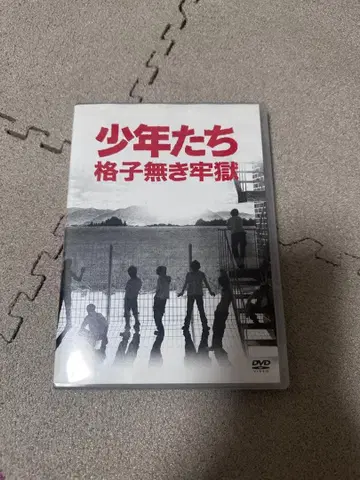 소년들 격자 없는 감옥 DVD 2장 세트
