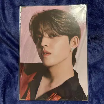 SEVENTEEN 프리미엄 사진 에스쿱스