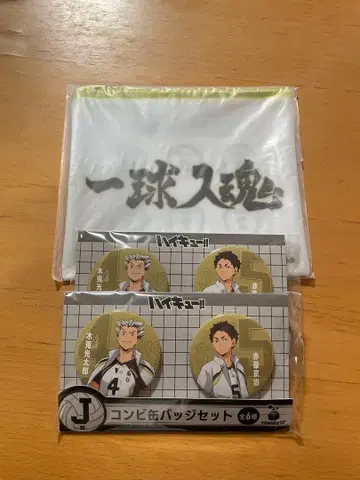 하이큐!! 제일복권 H상 J상