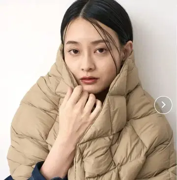 TAION 타이온 리버서블 다운 스톨 머플러 그레이 베이지