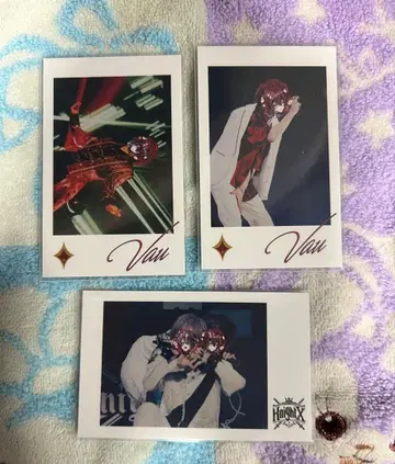 기사X 바우 사진 카세트