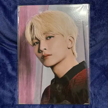 SEVENTEEN 프리미엄 사진 정한