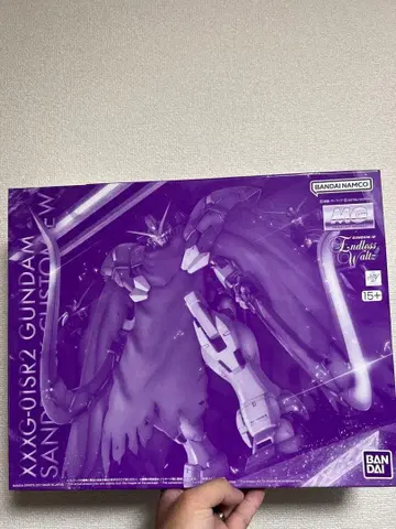 MG 1/100 건담 산드로크 EW