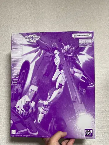 MG 1/100 데스티니 임펄스 건담 R (리제네스)