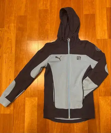 푸마 맨체스터 시티 후드티