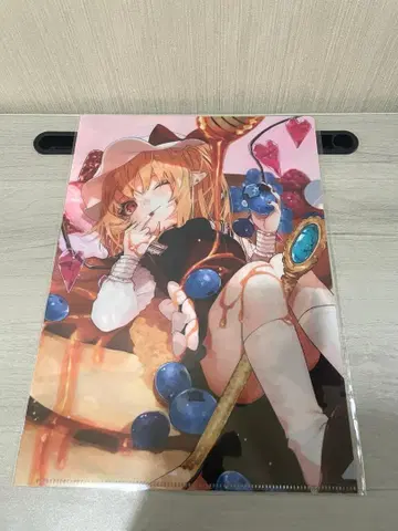 동방project 플랑 클리어 파일 한정판