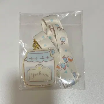 JOCHUM 마이크 넥스트랩